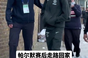 帕尔默这该死的teenager气质